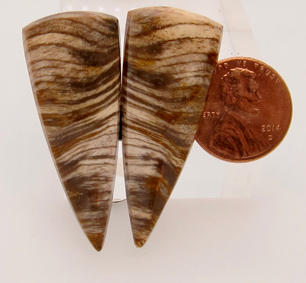 Petrified Wood/Teak Y 330