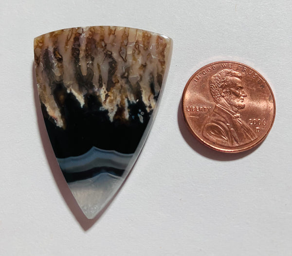 Turkish Agate Z 111