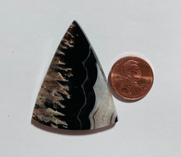 Turkish Agate Z 113