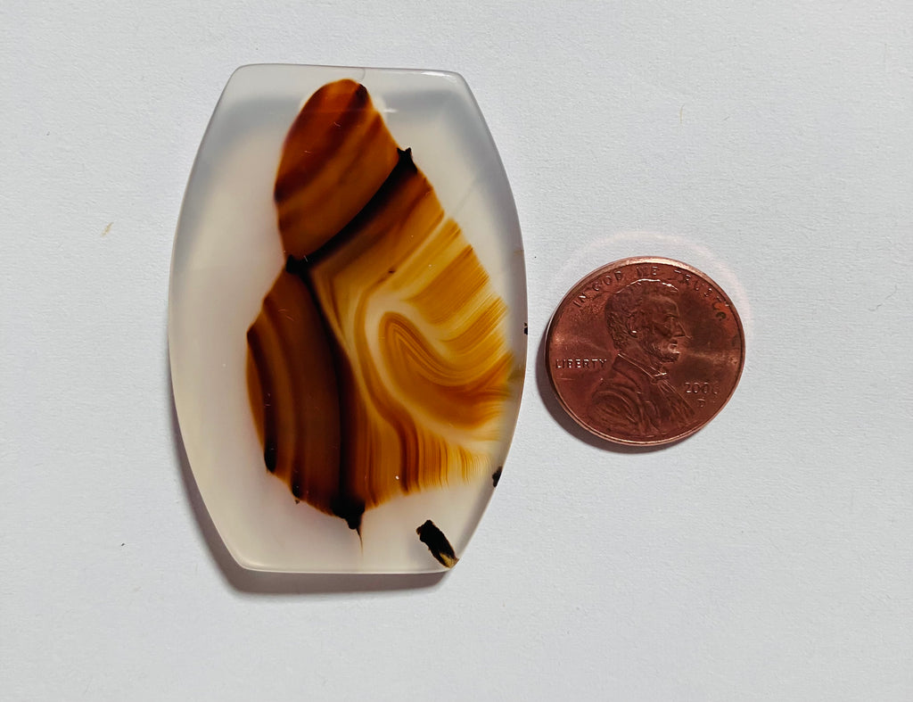 Montana Agate Z 115