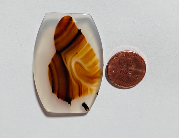 Montana Agate Z 115
