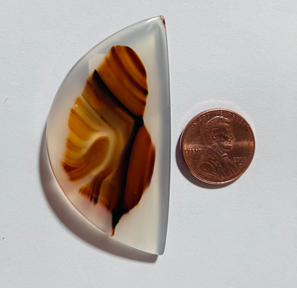 Montana Agate Z 116