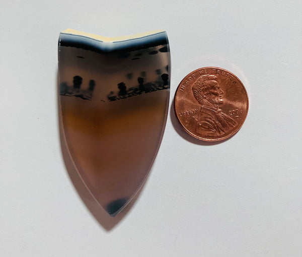 Brazilian Agate Z 54