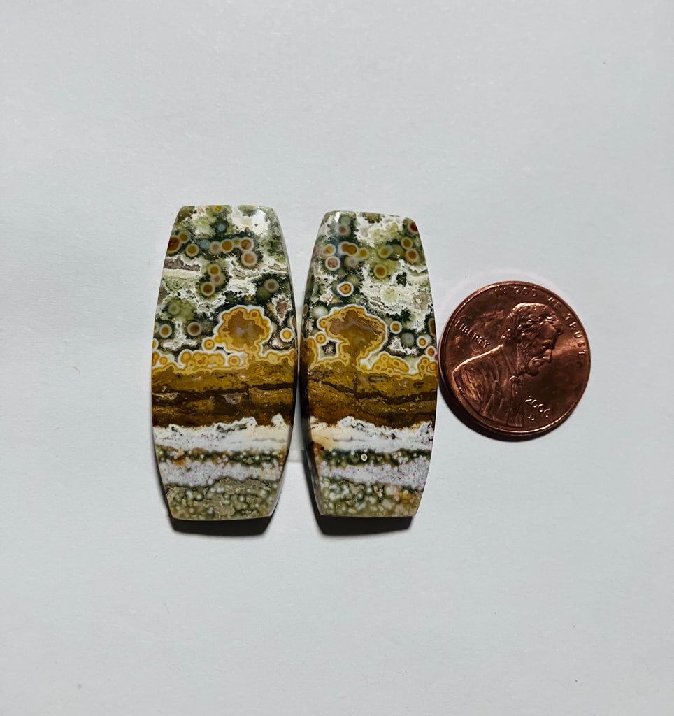 Ocean Jasper Pair V 187