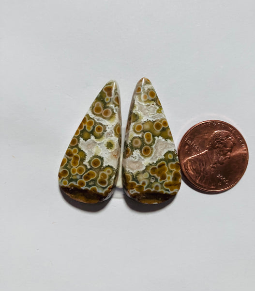 Ocean Jasper Pair V 189