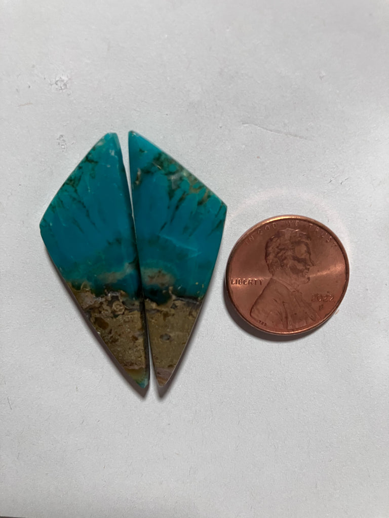 V 149 Chrysocolla Petrified Wood
