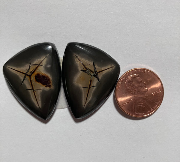 V 150 Septarian Nodules