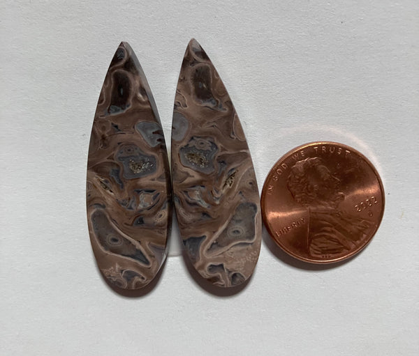 V 129 Fossil Palm Pair