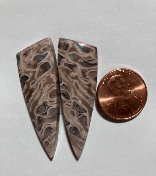 V 127 Fossil Palm Pair