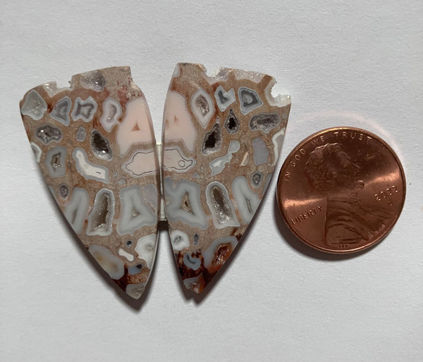 V 125 Fossil Palm /Drusy Pockets / Pair