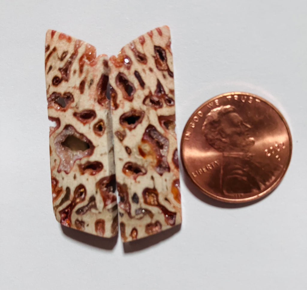 V 126 Fossil Palm / Drusy Pockets / Pair