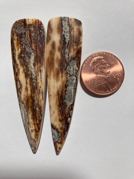 V 132 Woolly Mammoth Pair