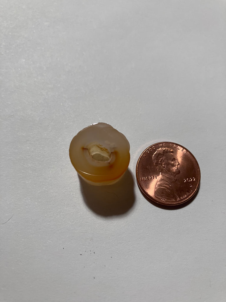 Y 322 Fossil Bamboo bead