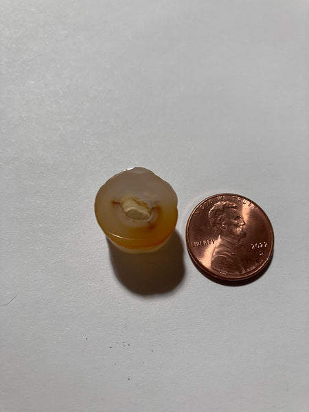 Y 322 Fossil Bamboo bead