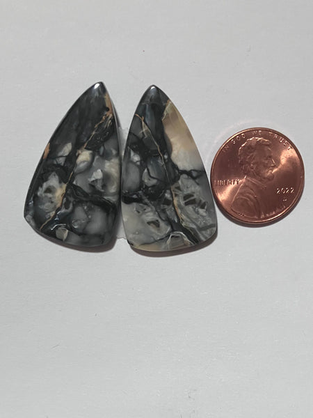 V 370 Pacific Coast Picasso Pair