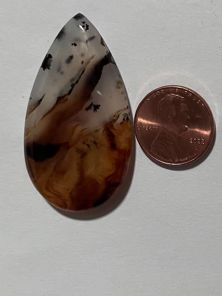 Z 53 Montana Agate Pendant