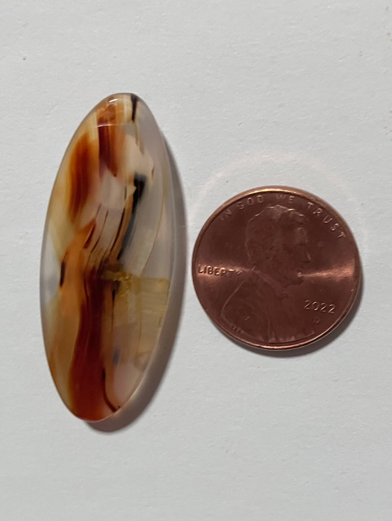 Z 55 Montana Agate Pedant