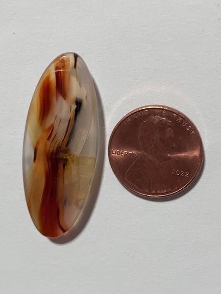 Z 55 Montana Agate Pedant