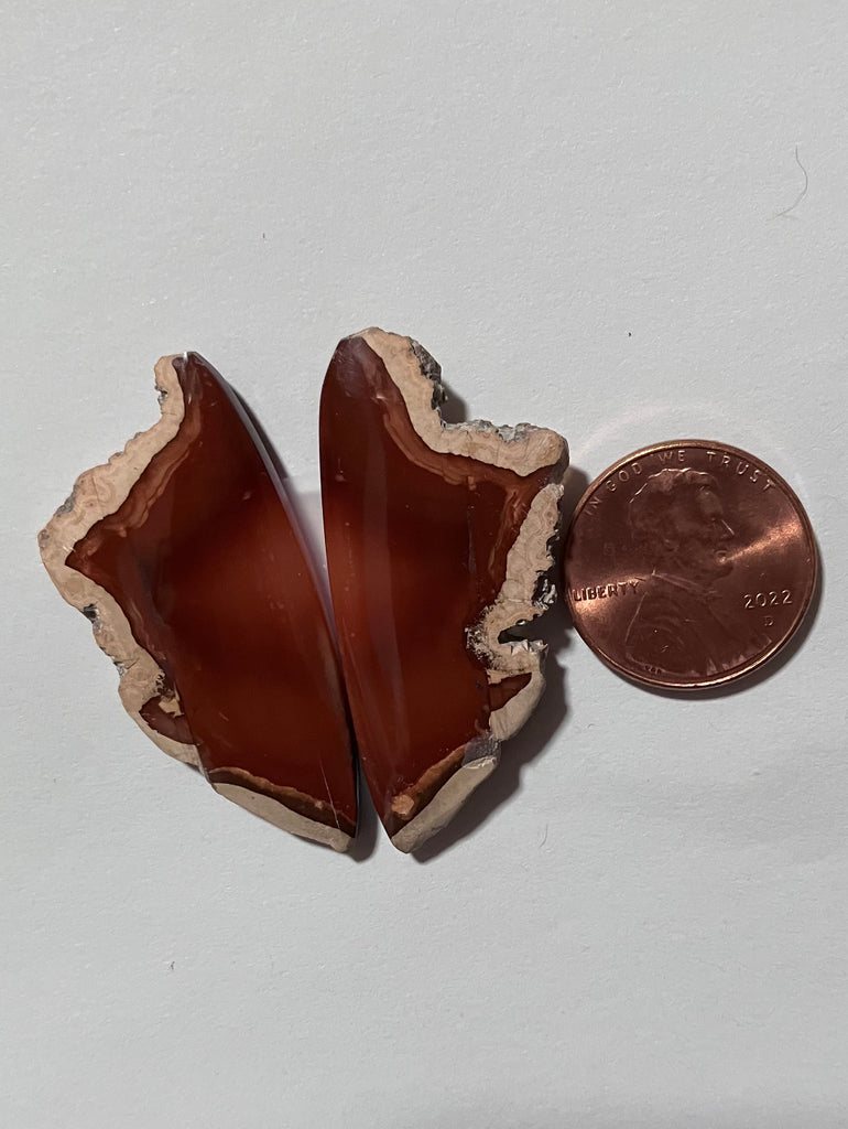 Z 48 Sumatran Agate Pair