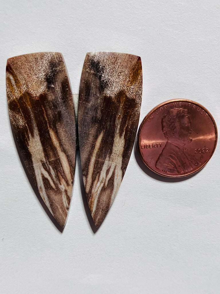 P 1041 Petrified Wood  Pair