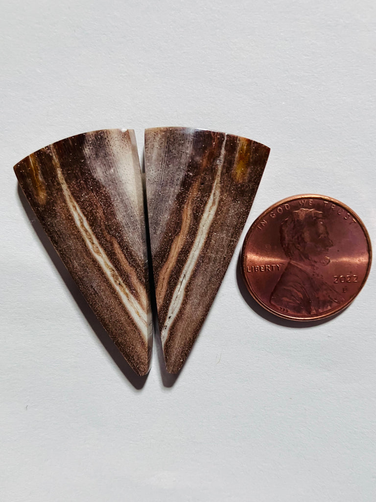 P 1043 Petrified Wood Pair