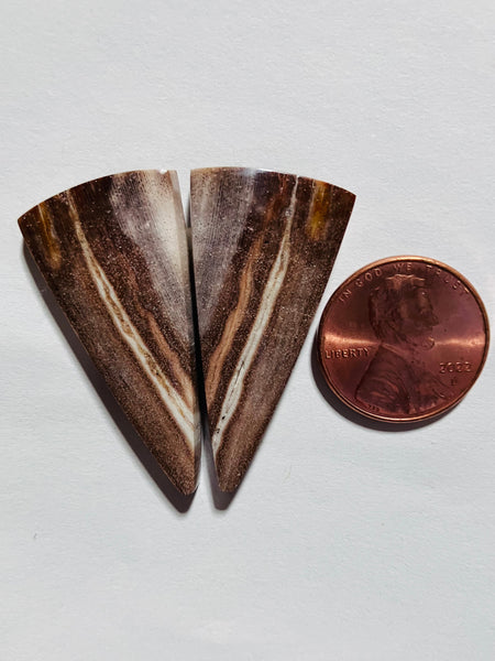 P 1043 Petrified Wood Pair