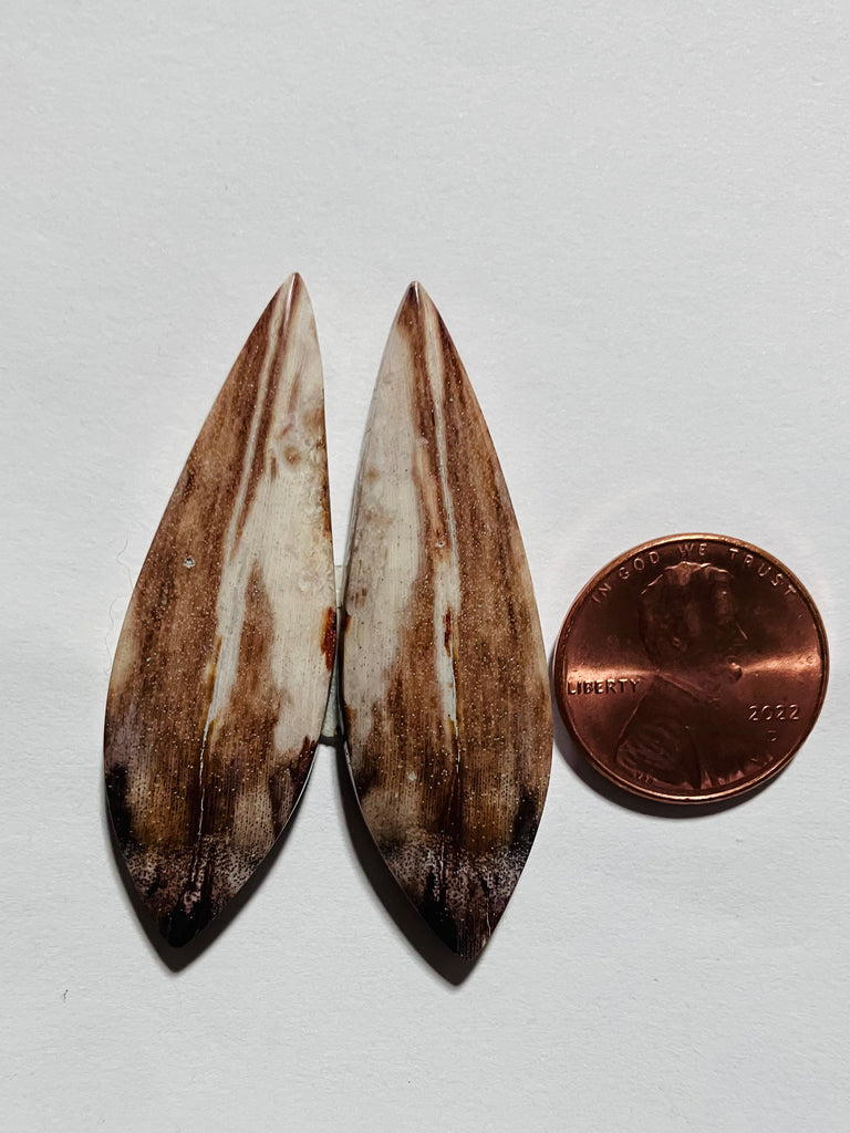 P 1044 Petrified Wood Pair