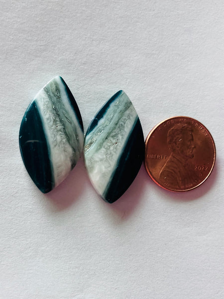 P 1046 Petrified Wood