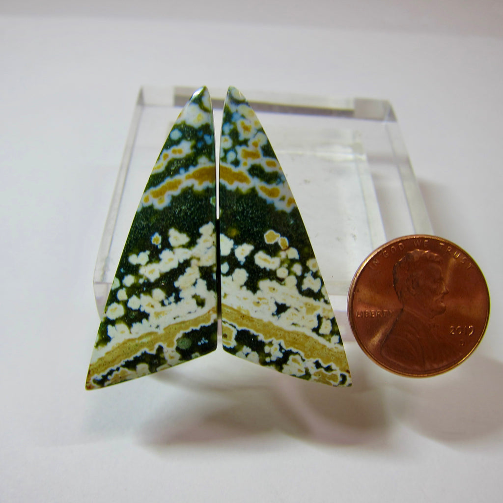 Ocean Jasper Pair V 566