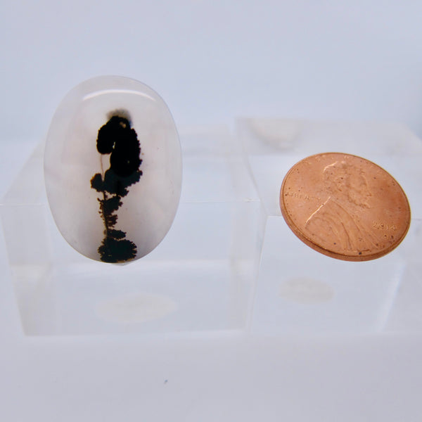 Dendritic Quartz V 922