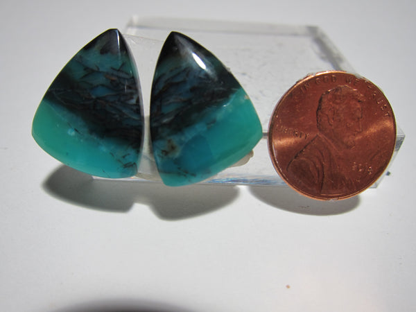 Blue Opal Pair Y 178