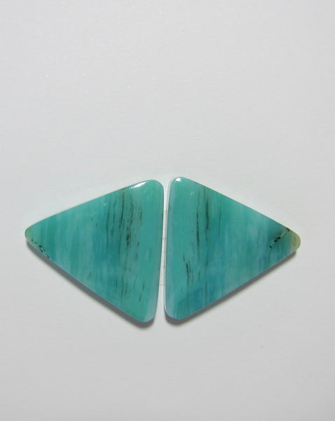 Blue Opal Petrified Wood Pair V 86